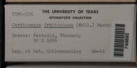 Image Associated With the Occurence
